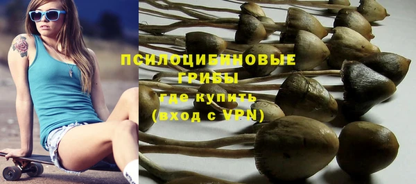 герыч Майский