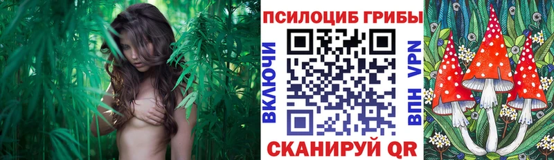 Псилоцибиновые грибы прущие грибы  где можно купить   Слюдянка 
